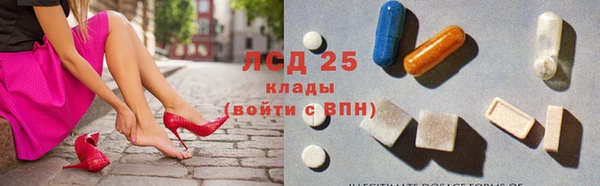амф Инта