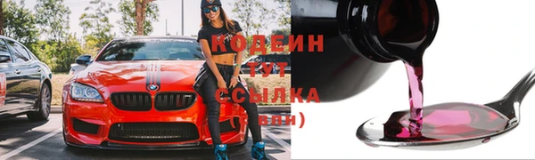 амф Инта