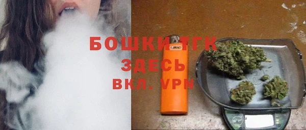 амф Инта