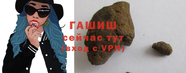 мдпв Инсар