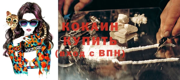 мдпв Инсар