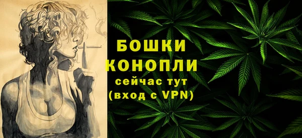 молекула духа Семёнов