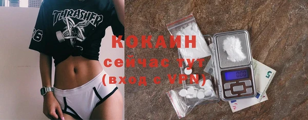 мдпв Инсар