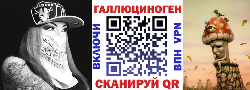 Галлюциногенные грибы Psilocybine cubensis  Светогорск 